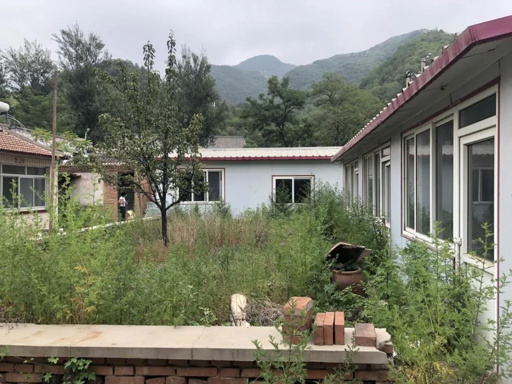 BIM建筑|右蔦乡村庭院餐厅,延庆 / 阿穆隆设计工作室