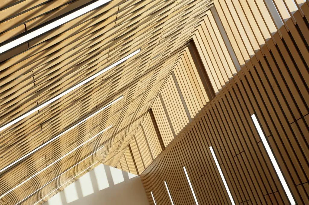 BIM建筑|卡普兰诺图书馆 / Patkau Architects + Group2