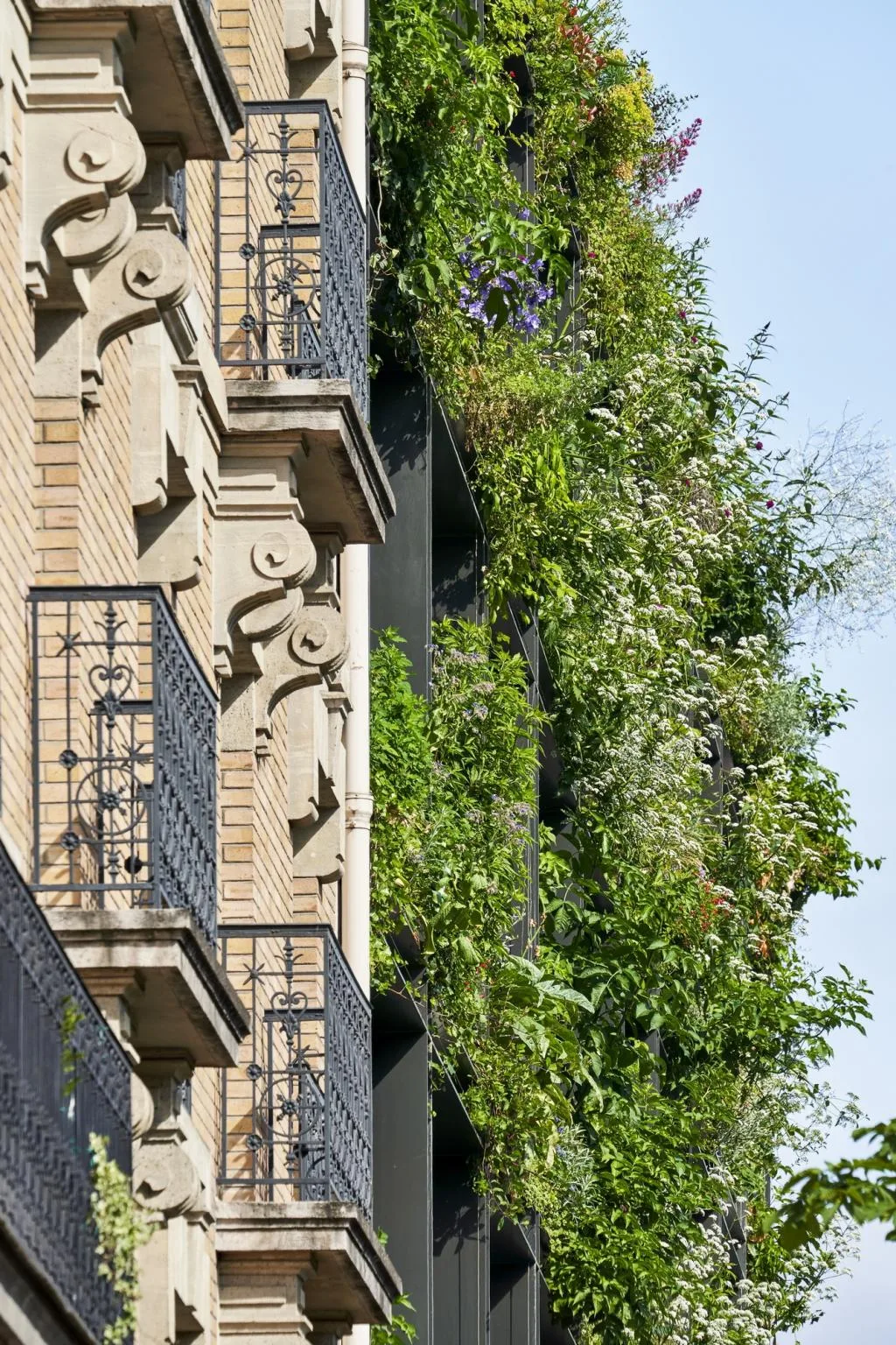 BIM建筑|未来城市缩影：M大楼 / Triptyque Architecture