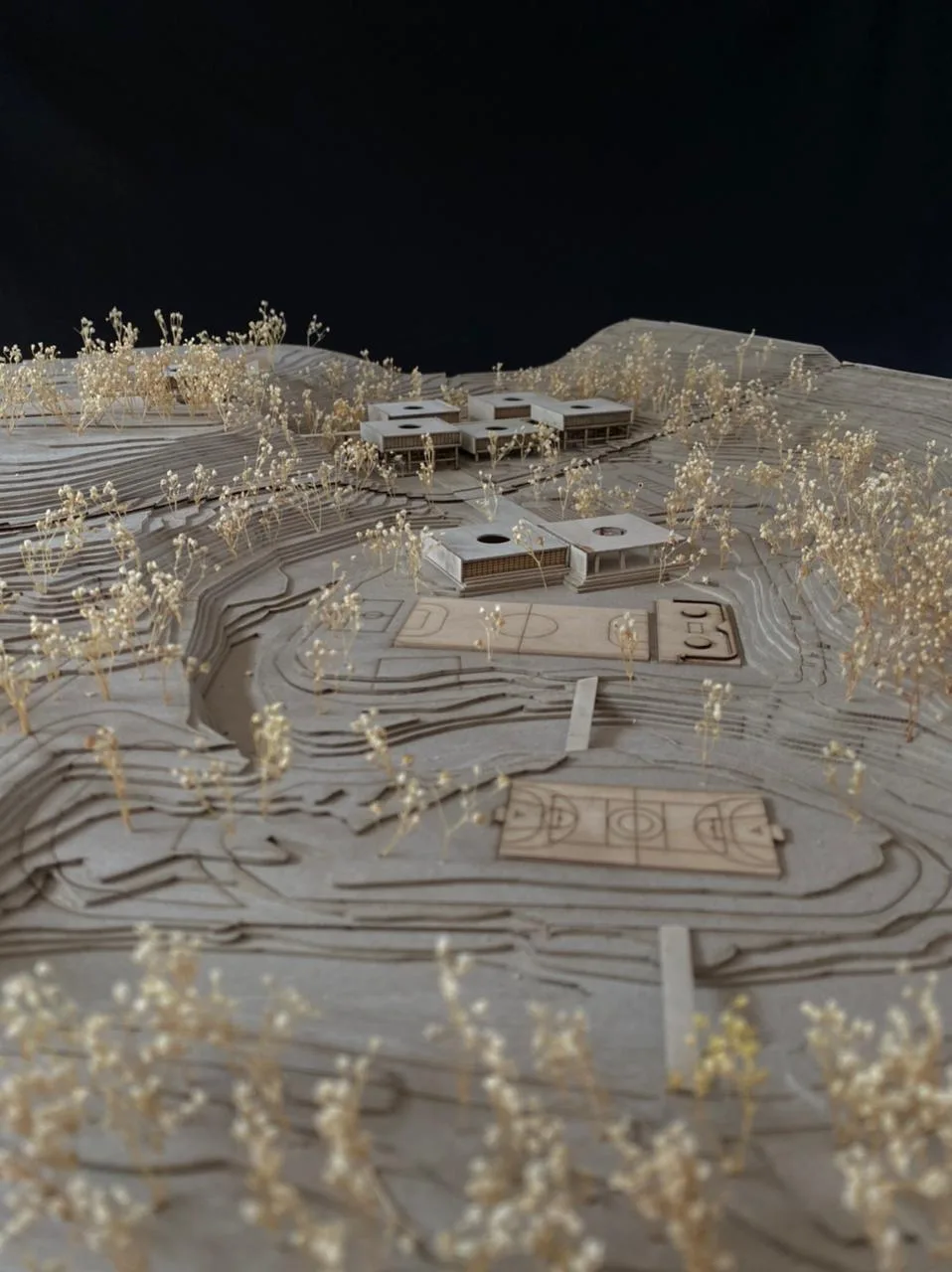 BIM建筑|墨西哥塔帕丘拉社会援助中心 / Laboratorio de Acupuntura Urbana