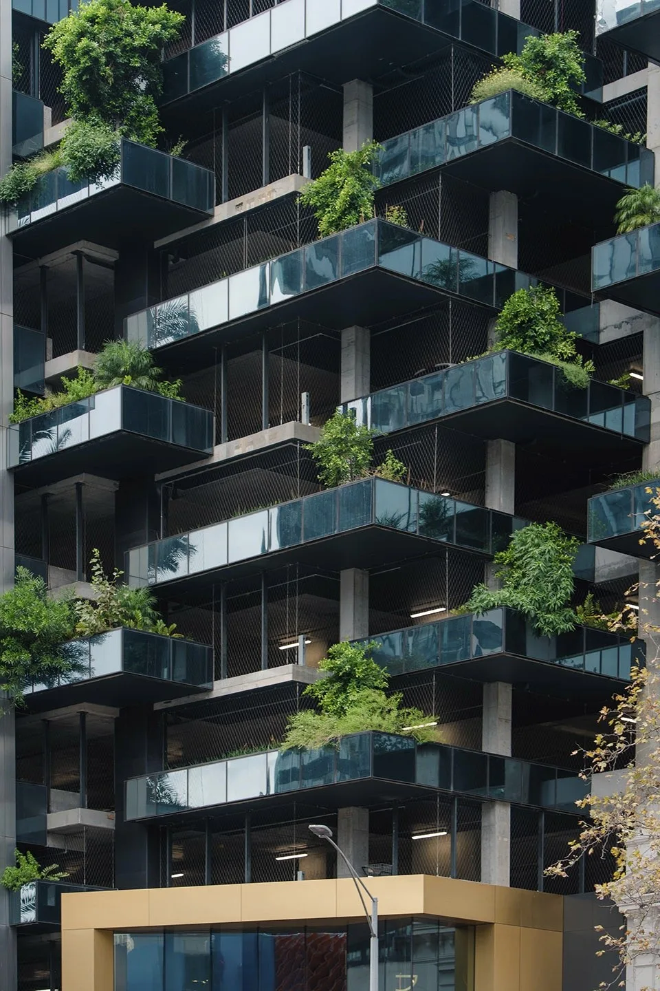 BIM建筑|Australia 108住宅塔楼，墨尔本 / Fender Katsalidis