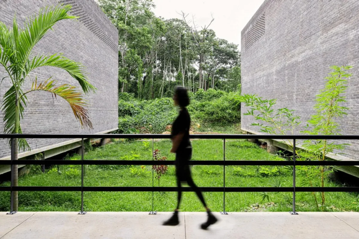 BIM建筑|墨西哥塔帕丘拉社会援助中心 / Laboratorio de Acupuntura Urbana