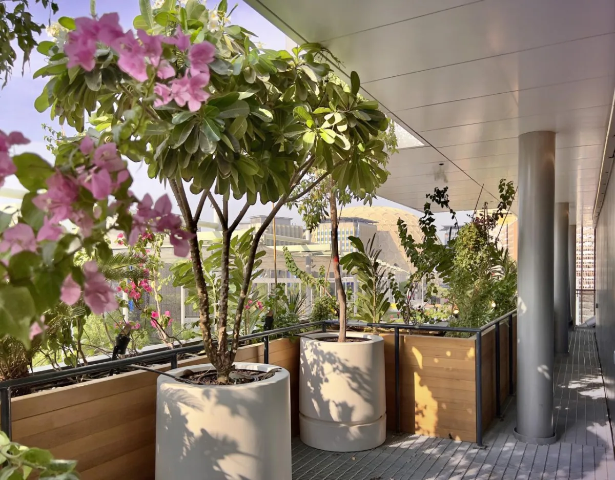 BIM建筑|2020 年迪拜世博会比利时馆 / Vincent Callebaut Architectures + assar architec