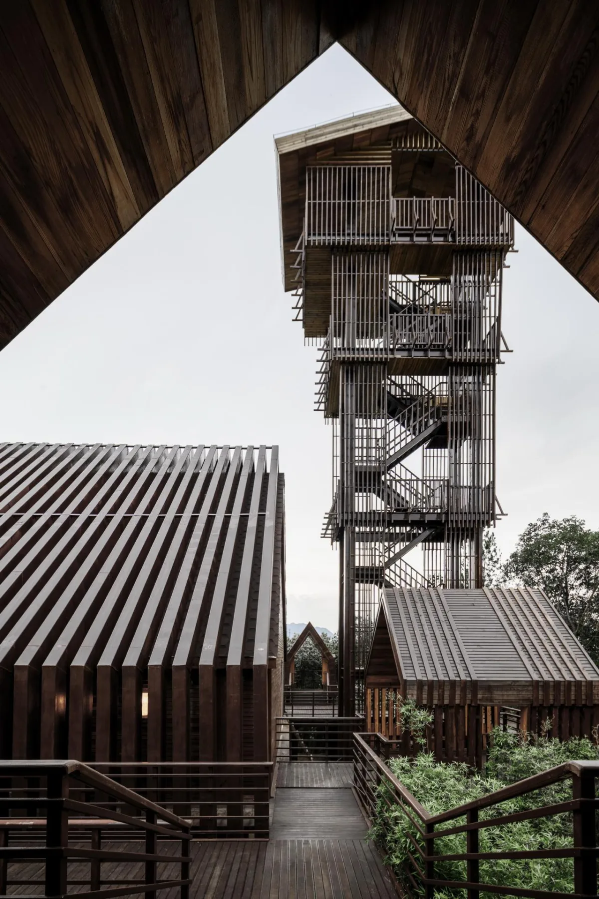 BIM建筑|木屋小镇：岛屿 · 丛林 · 小木屋，九江 / 平介设计