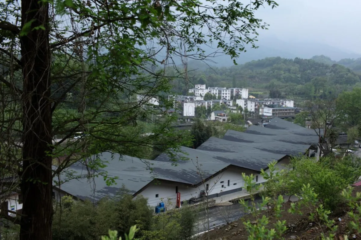 BIM建筑|在半山崖的废弃鸡棚，用峰峦“盖”一座共享工厂 / 时地建筑