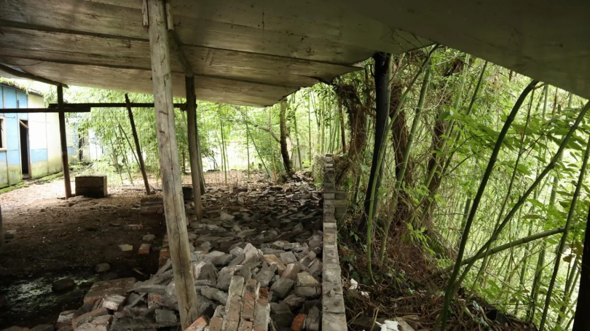 BIM建筑|在半山崖的废弃鸡棚，用峰峦“盖”一座共享工厂 / 时地建筑