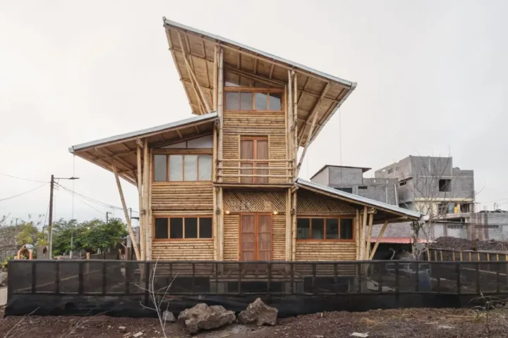 BIM建筑|地域性住宅 / ESEcolectivo