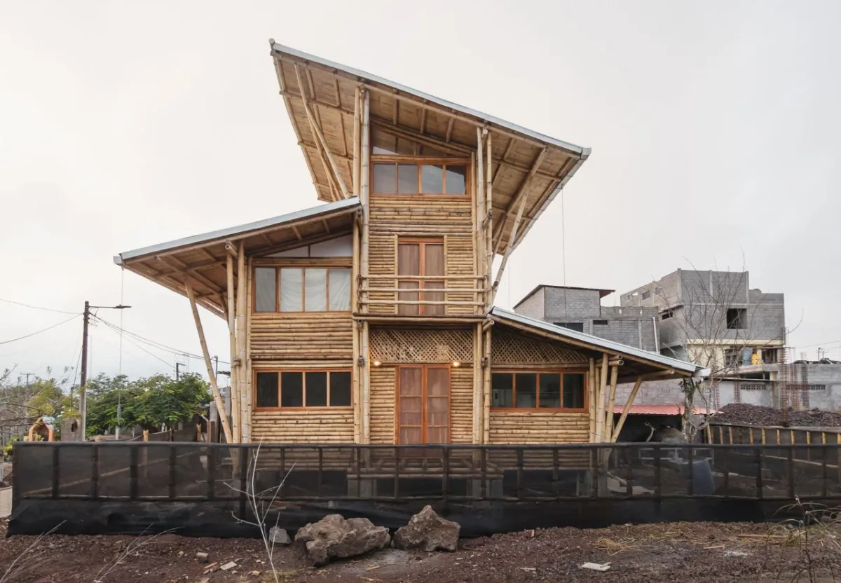 BIM建筑|地域性住宅 / ESEcolectivo