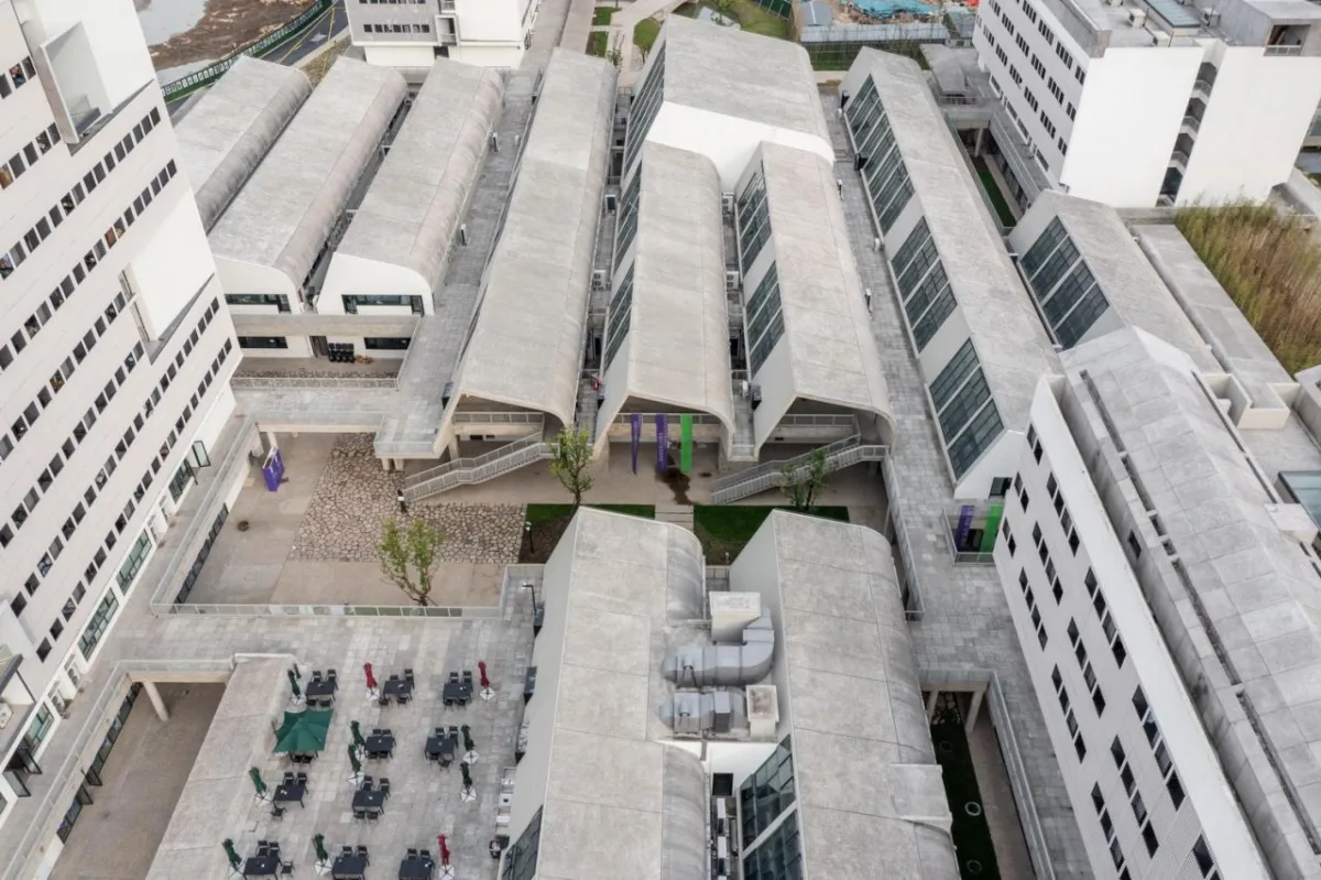BIM建筑|中国美术学院良渚校区 / 非常建筑