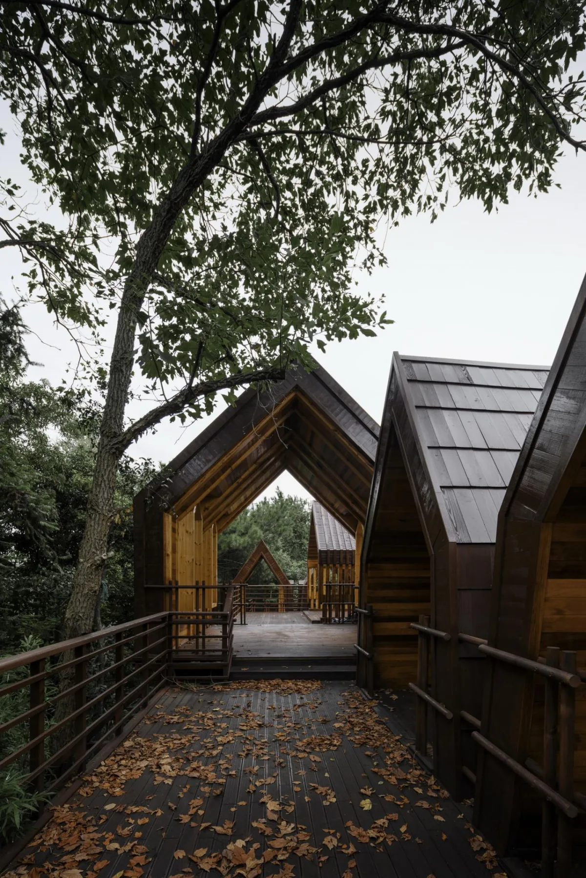 BIM建筑|木屋小镇：岛屿 · 丛林 · 小木屋，九江 / 平介设计