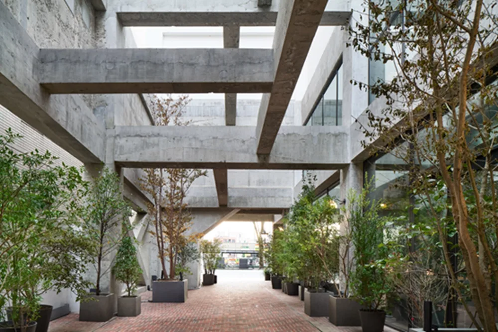 BIM建筑|藤本壮介为Shiroiya酒店增加巨大的中庭和青山