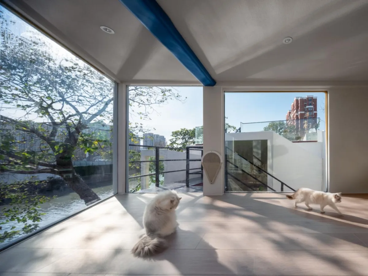 BIM建筑|上海云间粮仓 “人民河畔悬浮的太空盒”LILITH莉莉斯小屋 / DCDSAA淀川建筑事务所