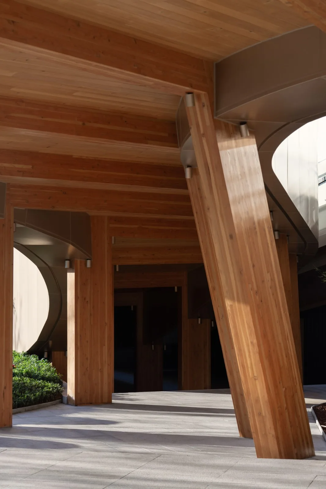 BIM建筑|木构建造设计一体化 l 宜宾白兰美学馆：建筑如何在地生长？