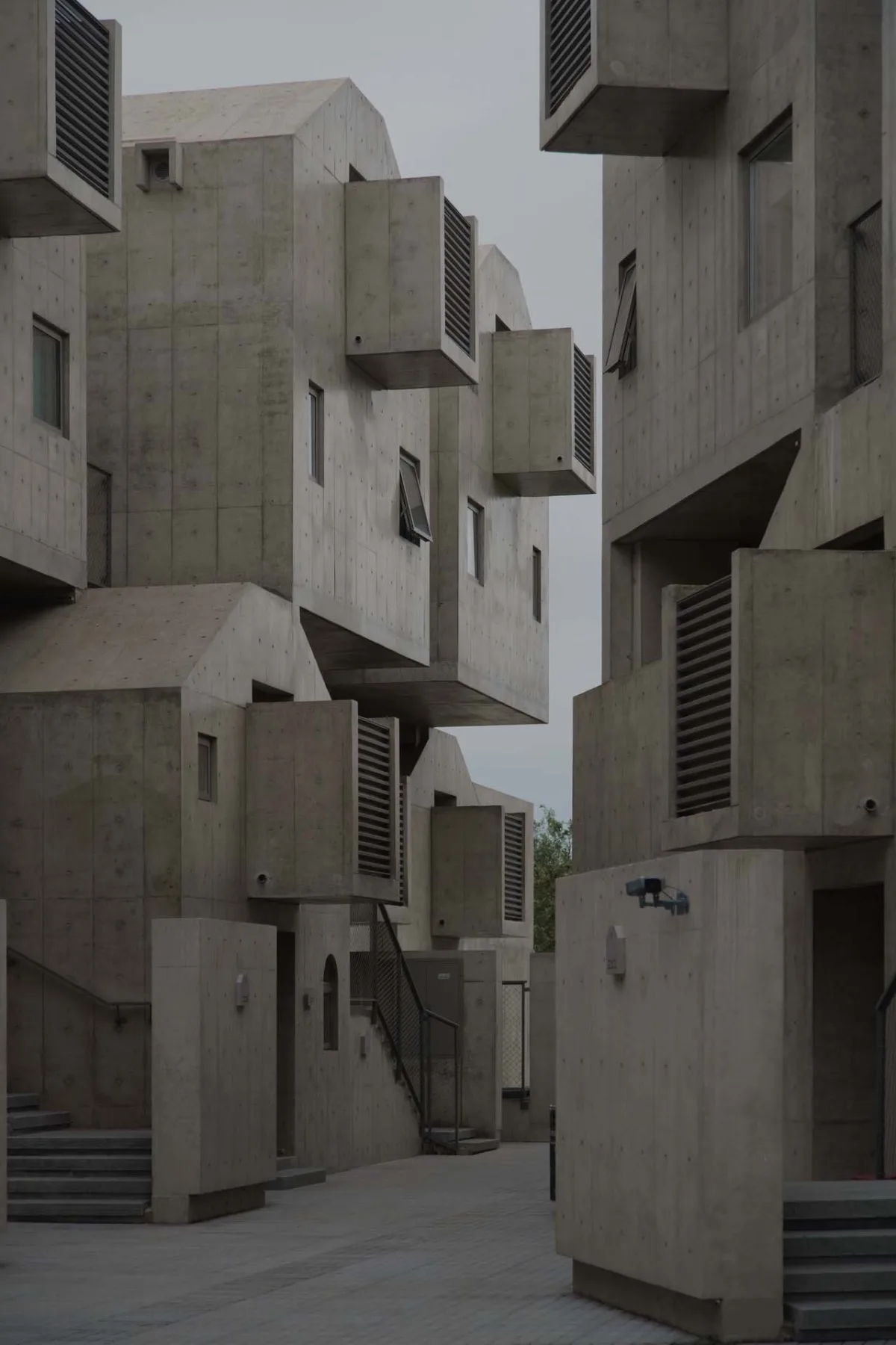 BIM建筑|宠物酒店：犬舍 / 高目建筑