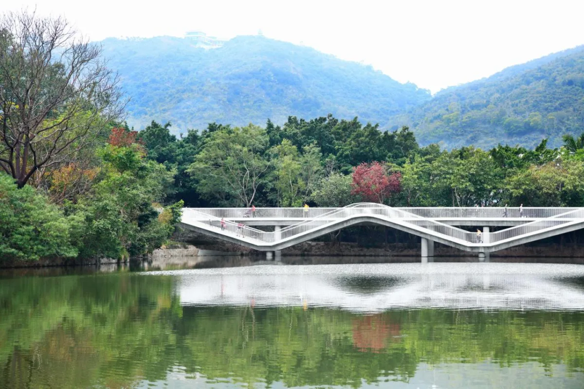 BIM建筑|二分桥：选择的价值 / 张健蘅建筑事务所