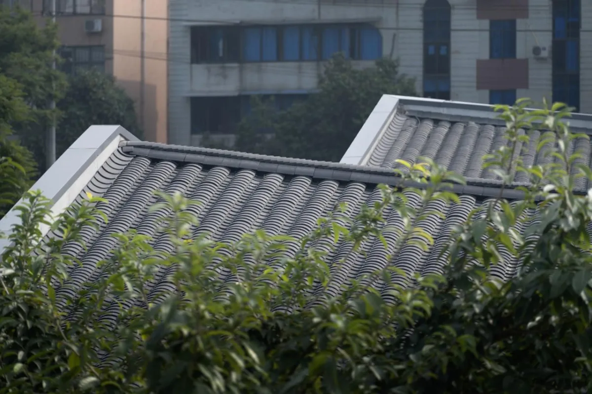 BIM建筑|邛崃美术馆 / 相对建筑