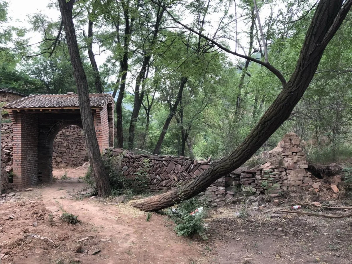 BIM建筑|与树和老土墙共生——军械库咖啡 / 三文建筑
