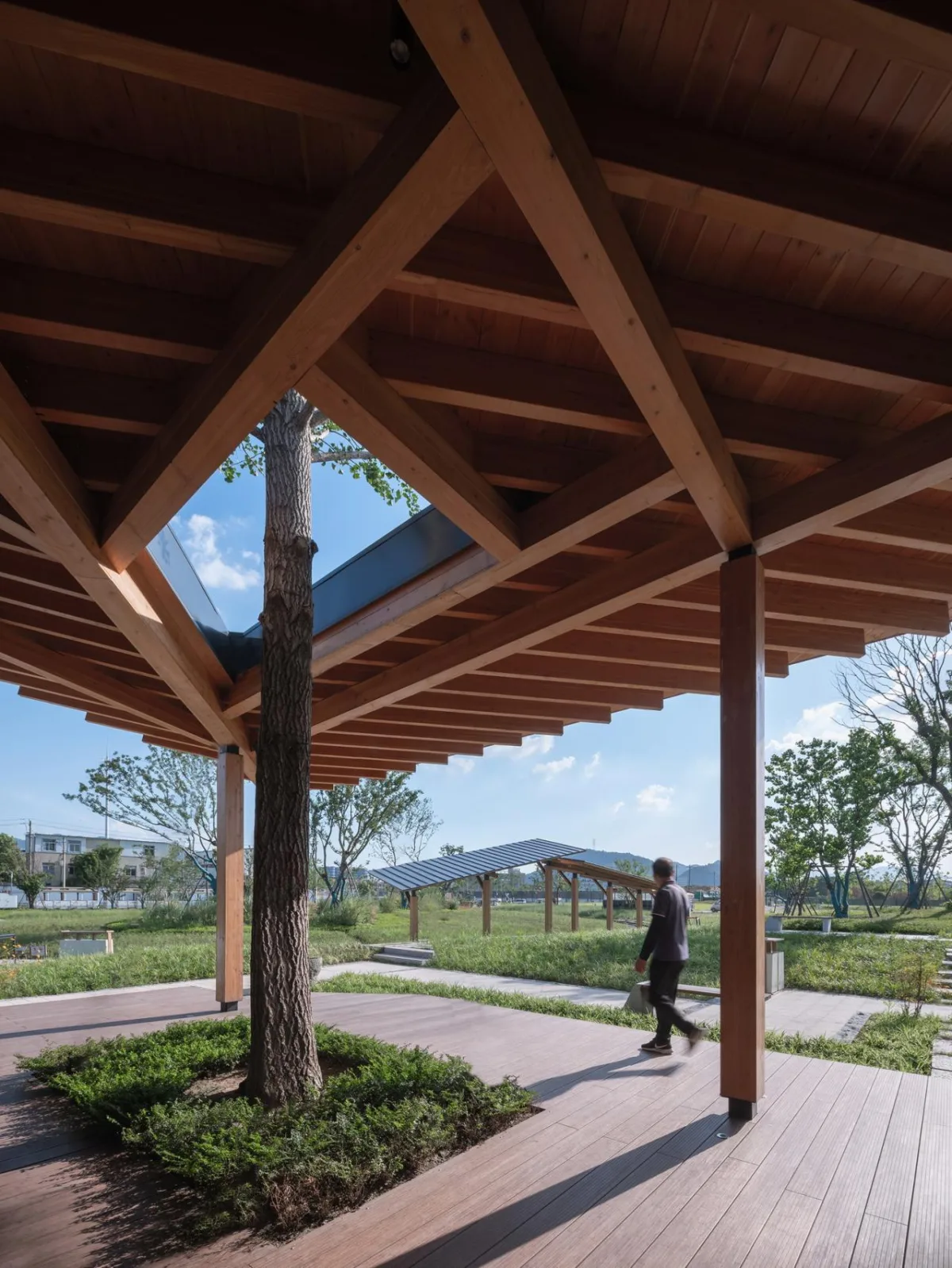 BIM建筑|富阳·阳陂湖湿地接待中心 / 尌林建筑设计事务所