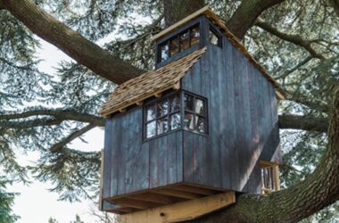 BIM建筑|塞巴斯蒂安·考克斯在英国乡村建造树屋-BIM建筑网