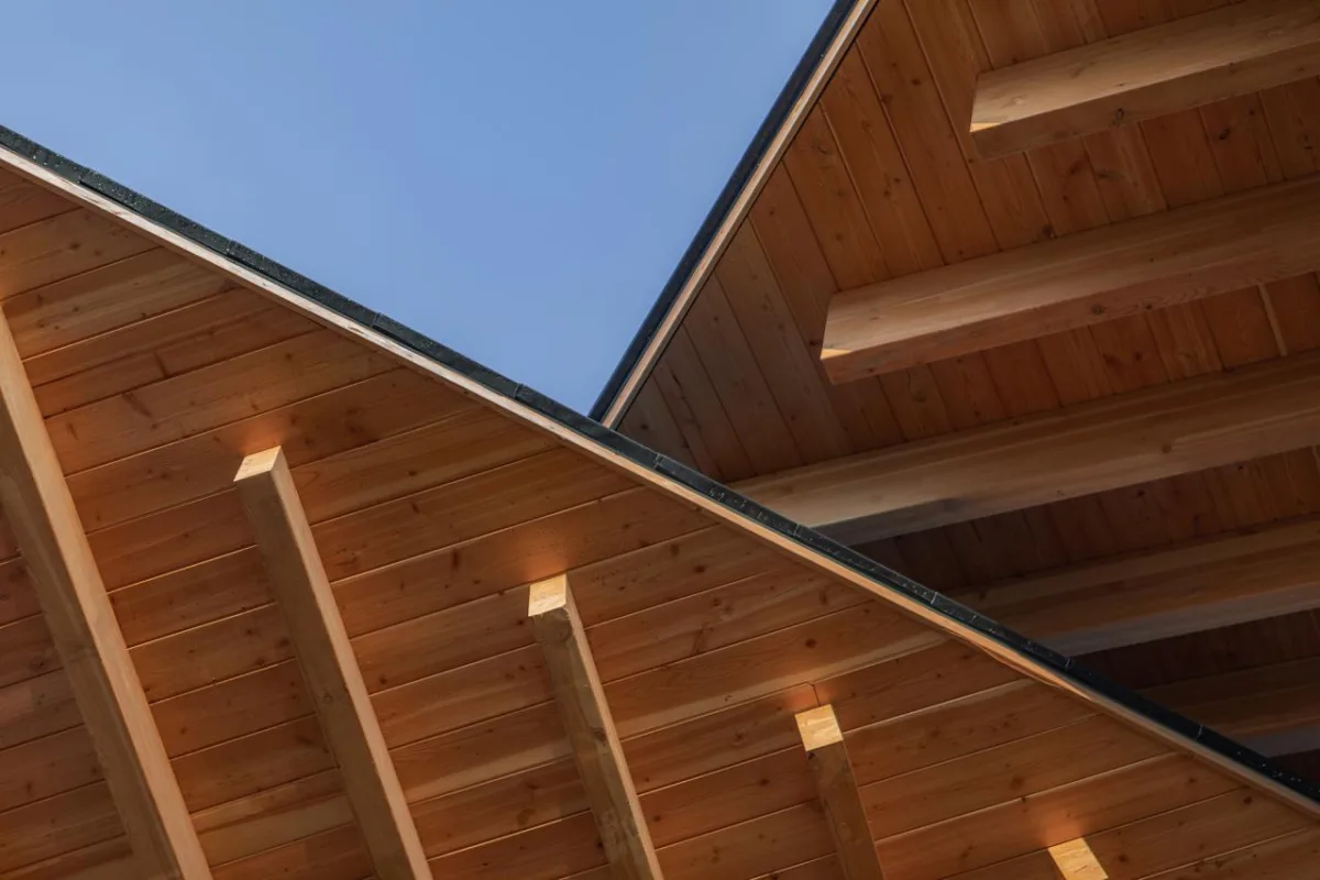 BIM建筑|富阳·阳陂湖湿地接待中心 / 尌林建筑设计事务所