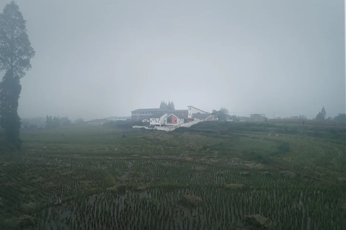 BIM建筑|大坪乡幼儿园 / 东意建筑