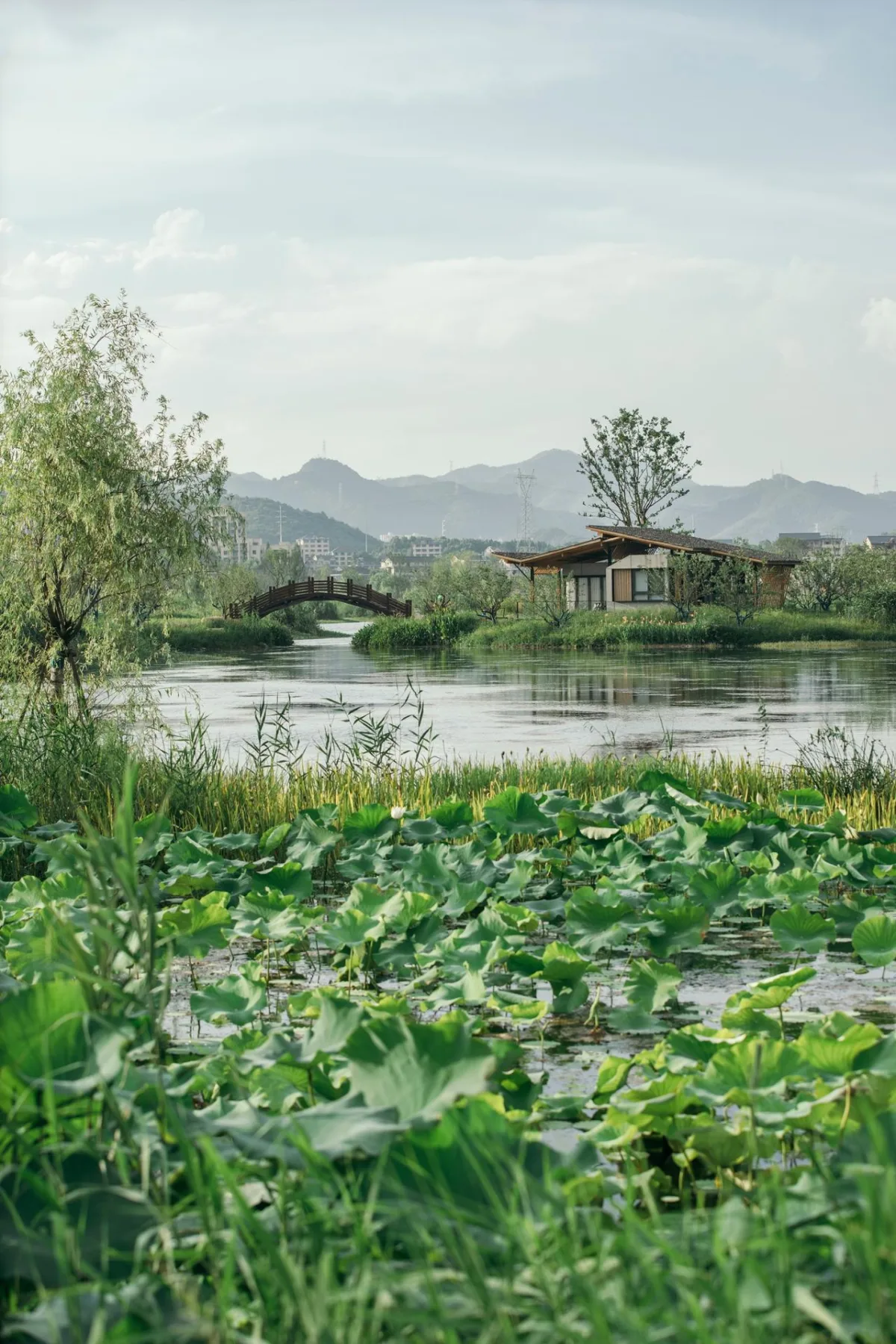 BIM建筑|富阳阳陂湖湿地生态酒店 / 尌林建筑