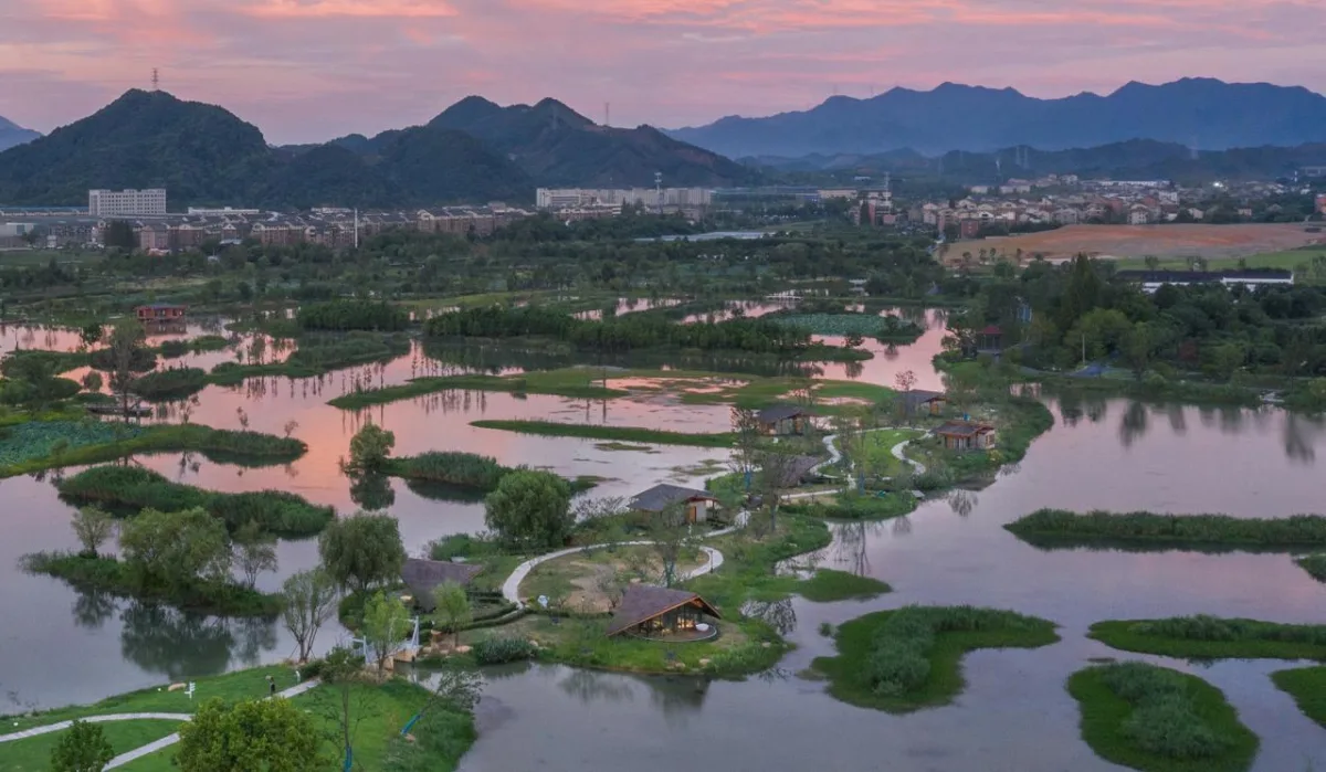 BIM建筑|富阳阳陂湖湿地生态酒店 / 尌林建筑