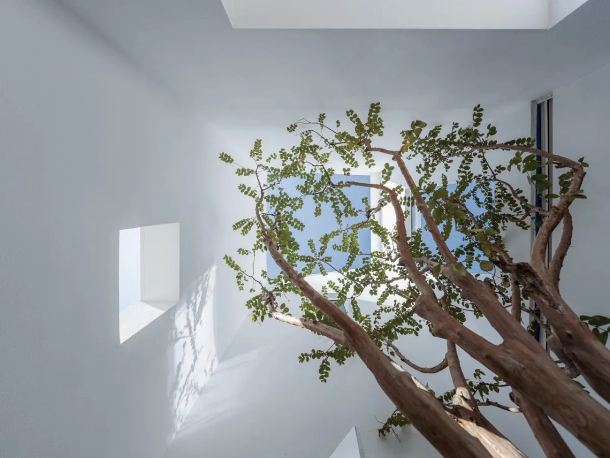 BIM建筑|剖面就是立面：白色的苏州伴宅 / Wutopia Lab