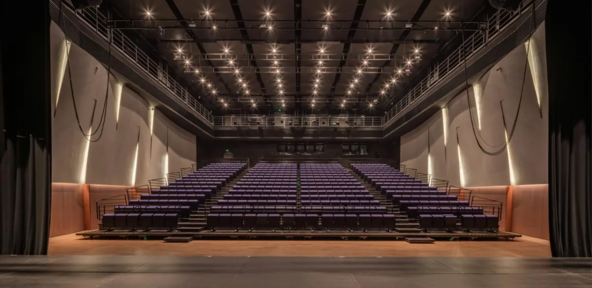 BIM建筑|深圳宝安文化区演艺中心 / 严迅奇建筑师事务所