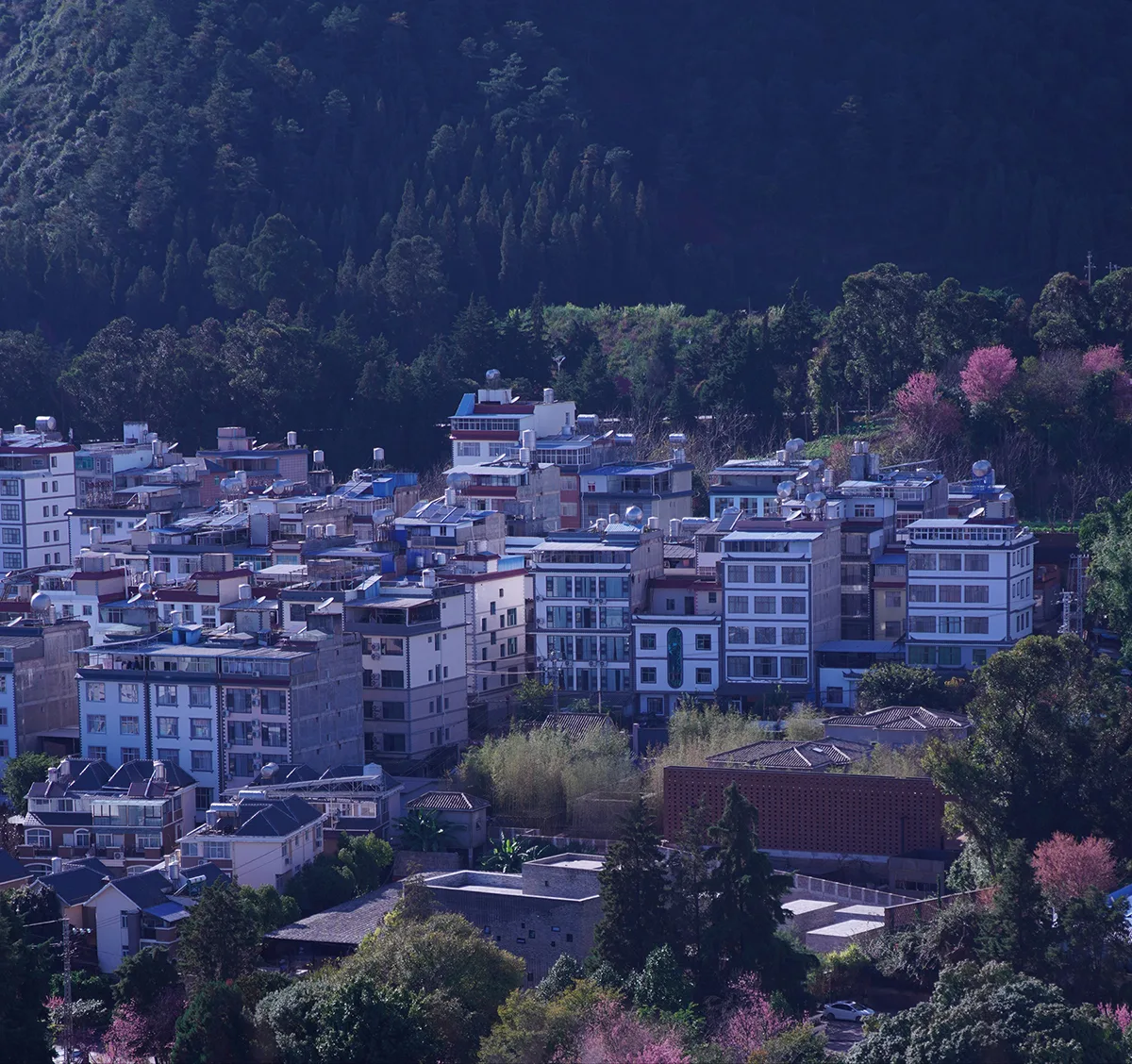 BIM建筑|乡建八式|基于云南大知闲闲民宿改造的乡建实践 / 阮晓舟设计工作室
