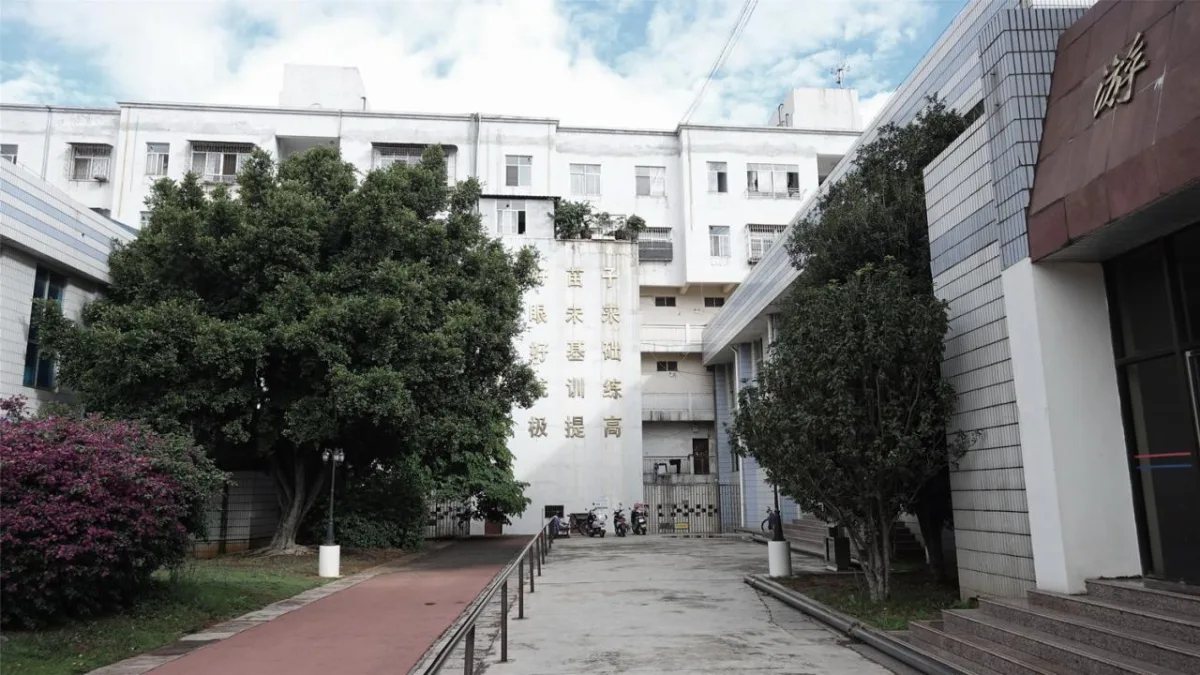 BIM建筑|云南省玉溪市第一幼儿园教育集团桂山园更新 / 上海思序建筑规划设计