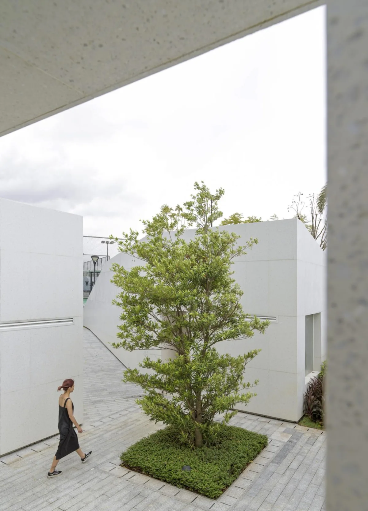 BIM建筑|沃土 | 琶洲保利体育公园服务中心 / 上海间筑设计