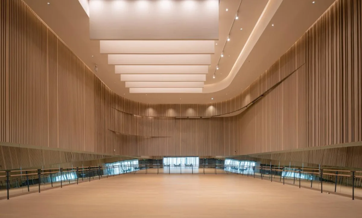 BIM建筑|深圳宝安文化区演艺中心 / 严迅奇建筑师事务所