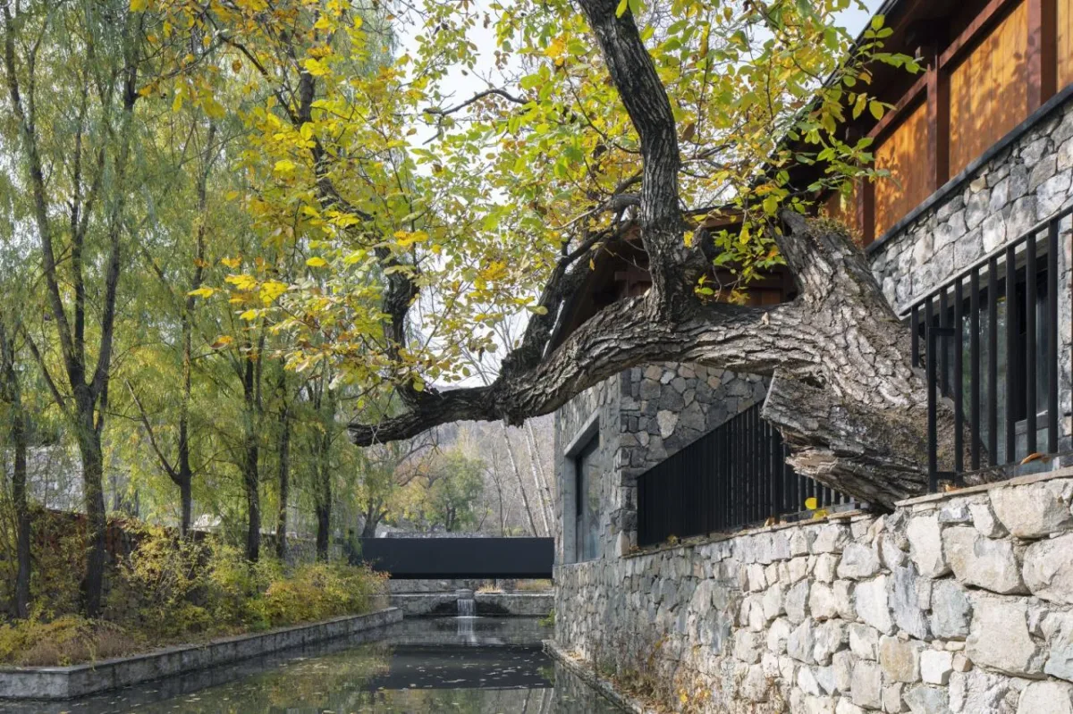 BIM建筑|隐北野奢酒店 / Penda China