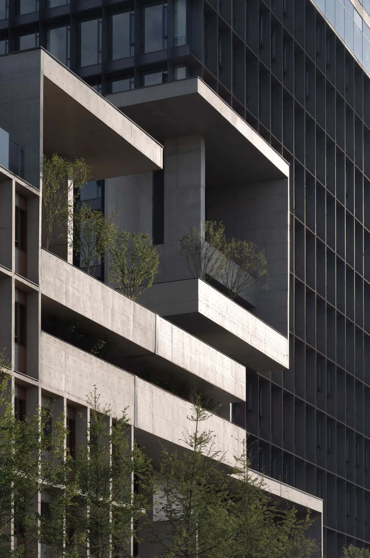 BIM建筑|成都麓湖漂浮总部办公楼 / 直向建筑
