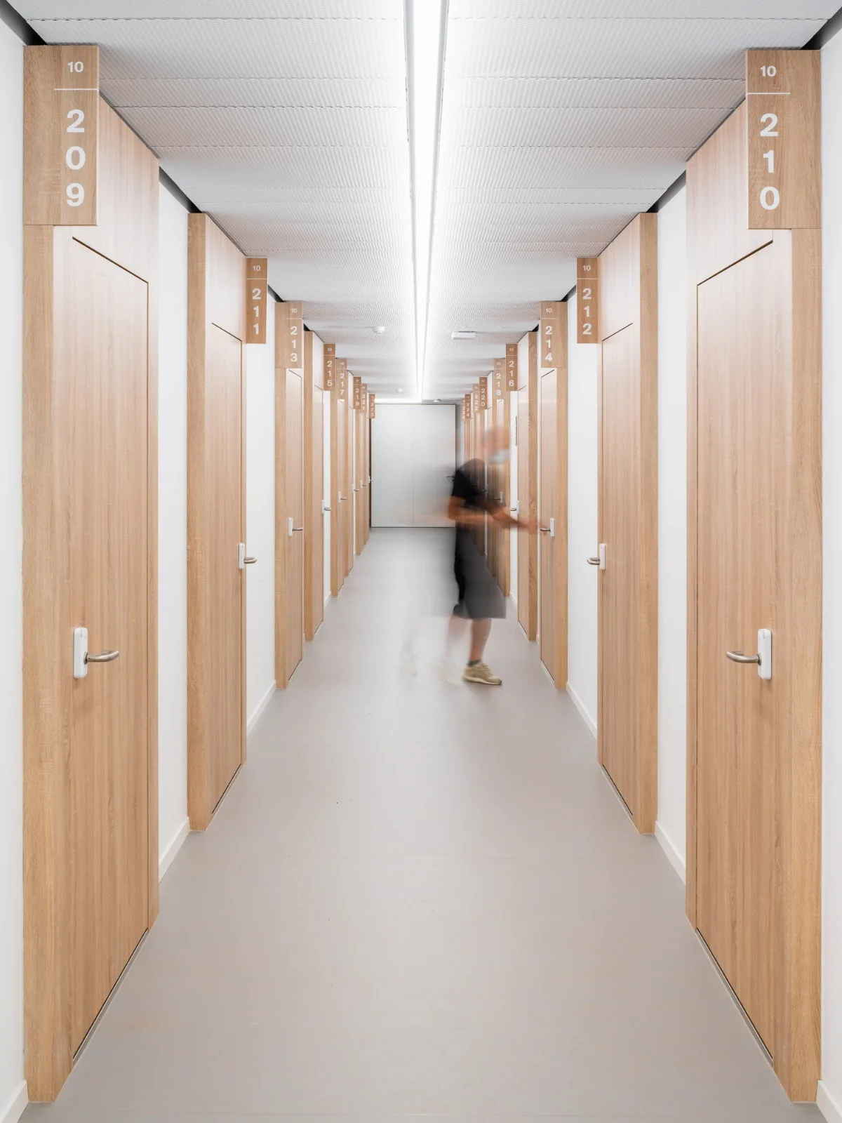 BIM建筑|莫里永学生宿舍 / 隈研吾建筑都市设计事务所 + CCHE