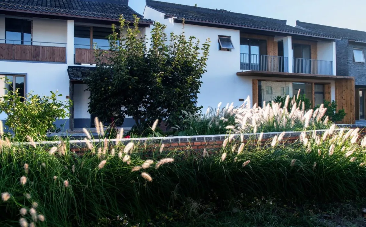 BIM建筑|低成本整村改造实践：上海奉贤李窑村乡村振兴 / 水石设计