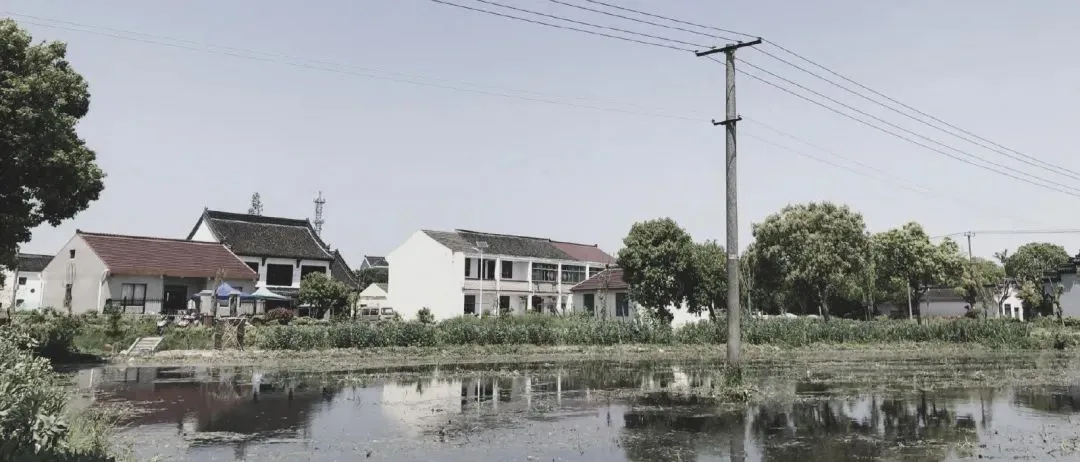 BIM建筑|低成本整村改造实践：上海奉贤李窑村乡村振兴 / 水石设计
