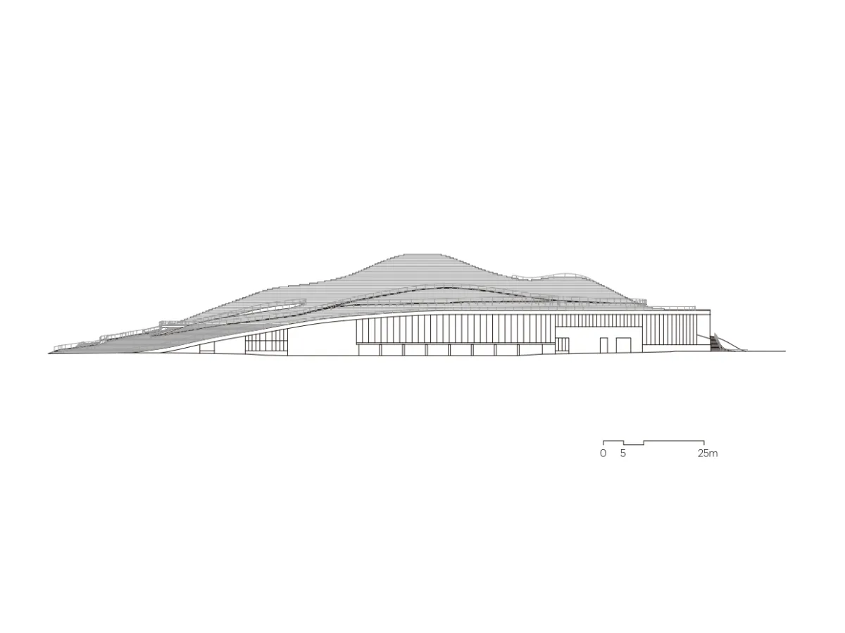 BIM建筑|琴台美术馆 / 大舍建筑设计事务所