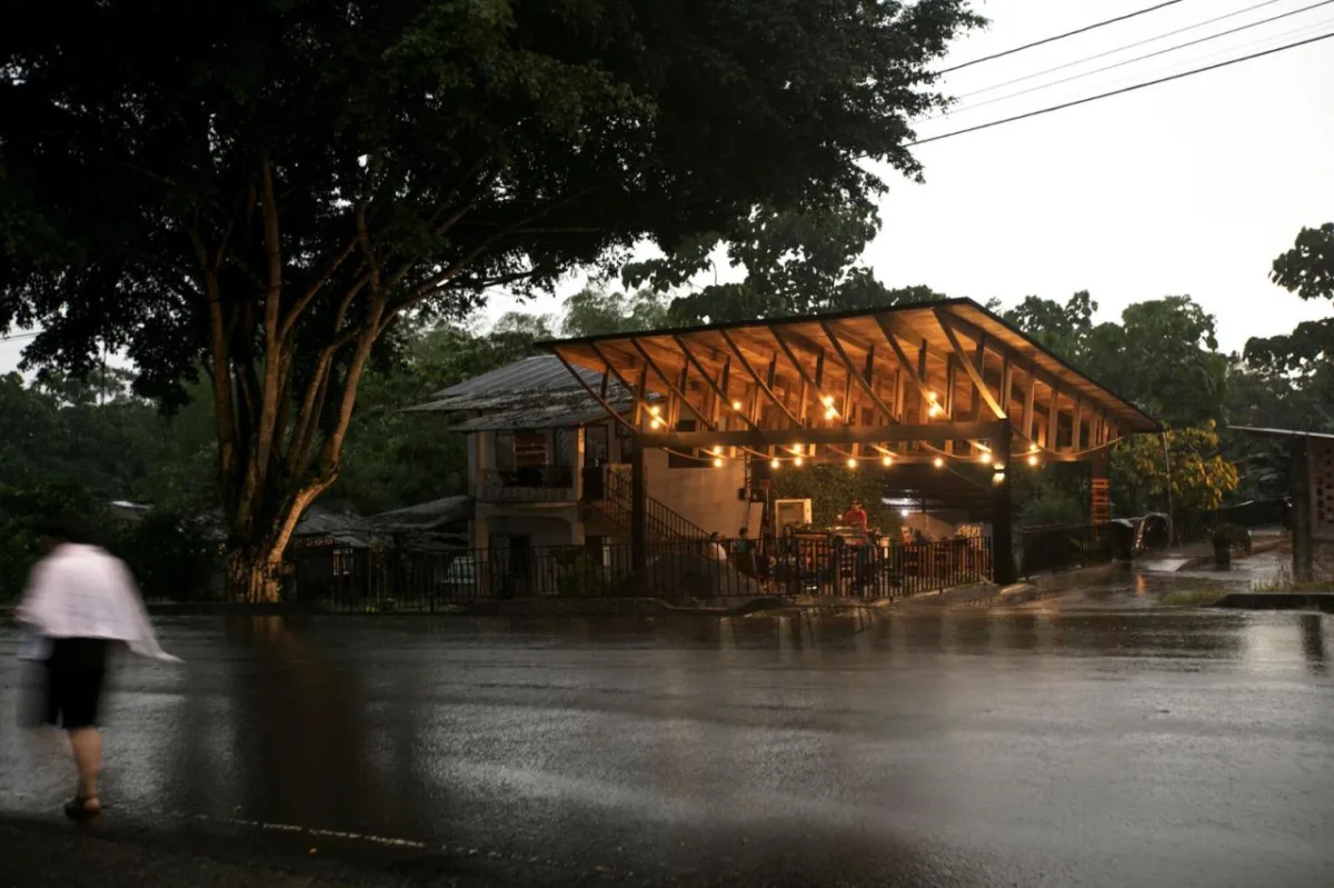 BIM建筑|村口榕树下，社区公共空间 Ficus Alto / Natura Futura Arquitectura