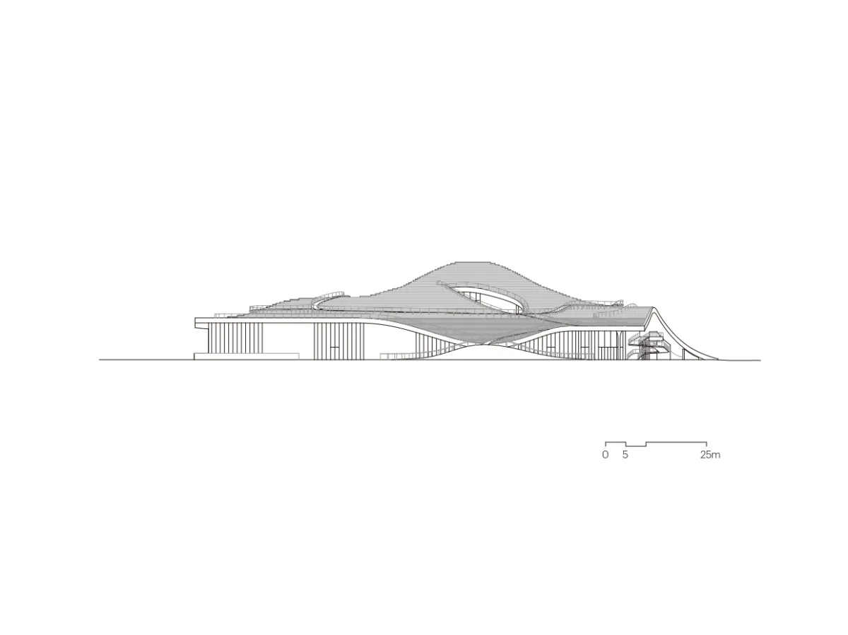 BIM建筑|琴台美术馆 / 大舍建筑设计事务所