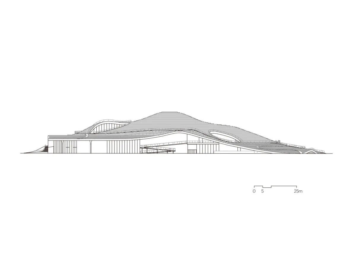 BIM建筑|琴台美术馆 / 大舍建筑设计事务所