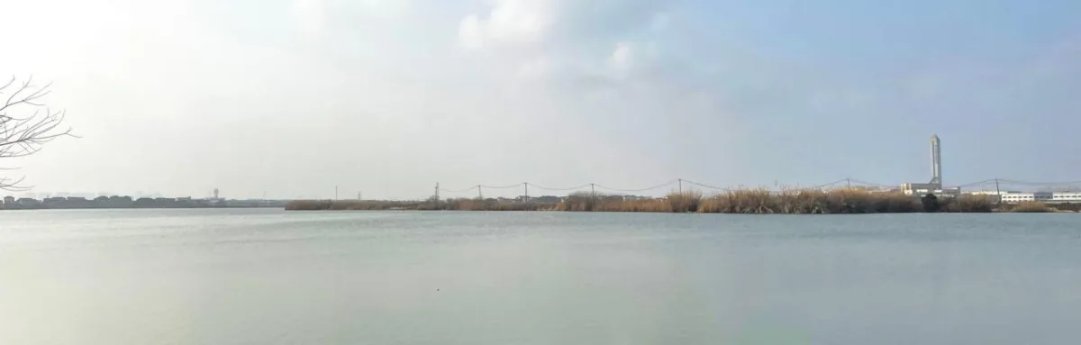 BIM建筑|水杉林餐厅：水边的风景 / goa作品