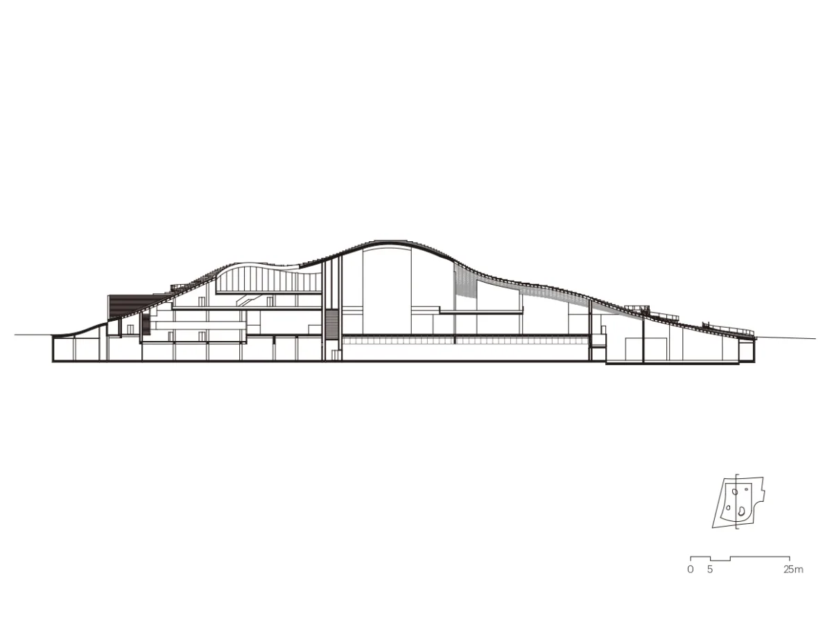 BIM建筑|琴台美术馆 / 大舍建筑设计事务所