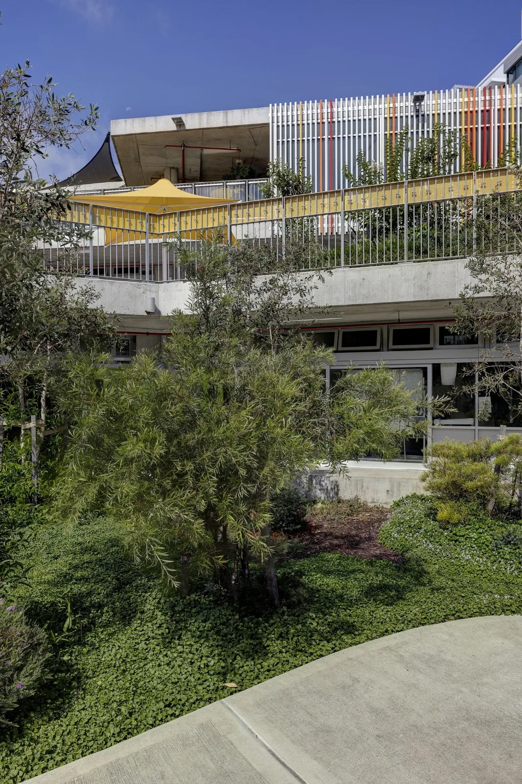 BIM建筑|Ultimo 公立小学/ DesignInc+ Lacoste + Stevenson + bmc2 architectes