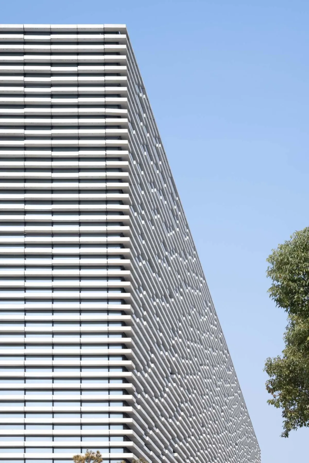 BIM建筑|中国扬州运河大剧院 / 同济大学建筑设计研究院