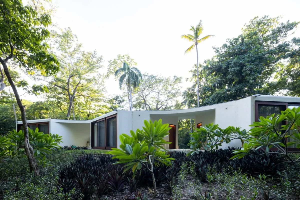 BIM建筑|Las Olas 度假屋 / Young Projects