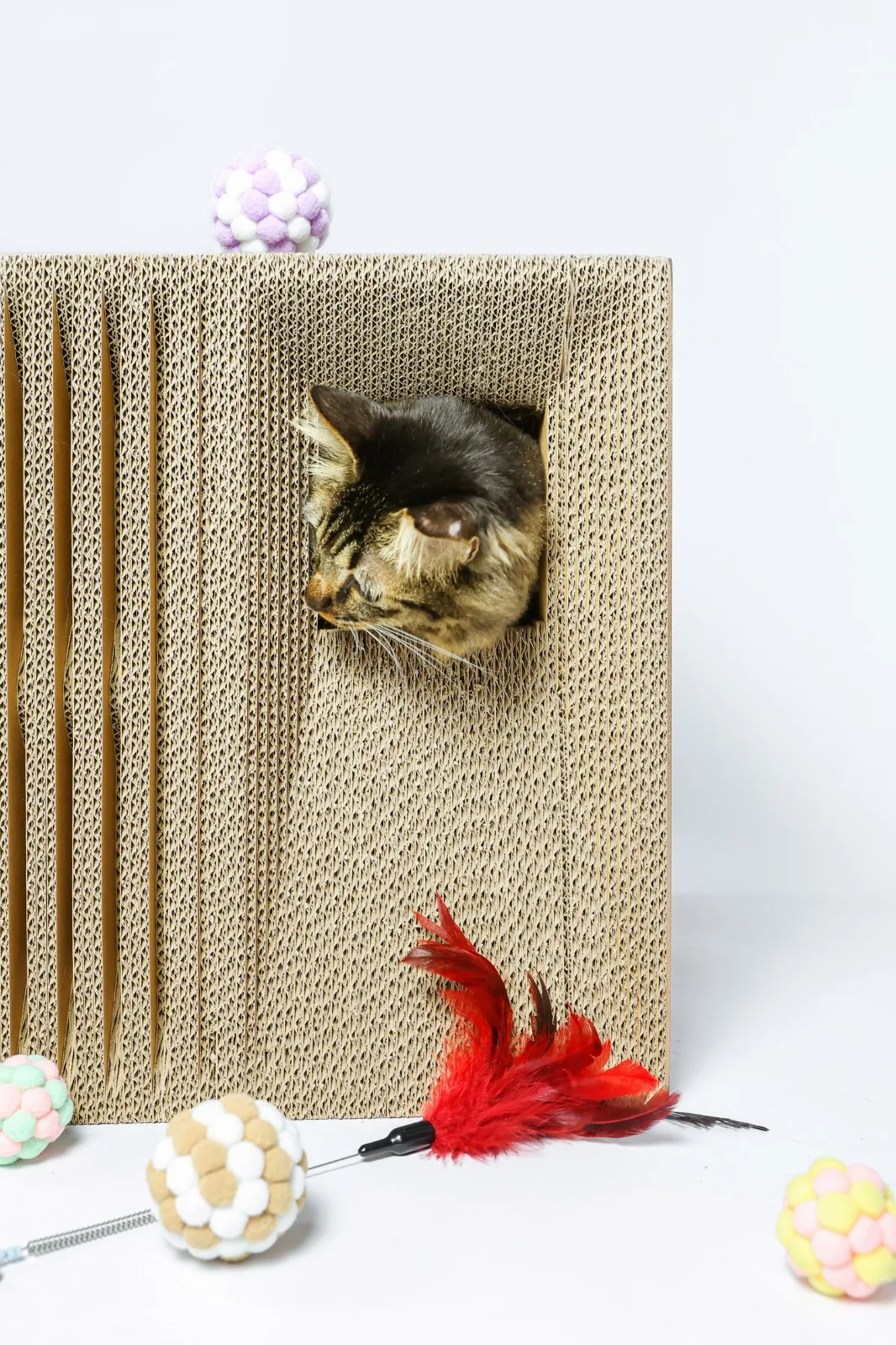 BIM建筑|假如业主是一只猫:猫立方系列 / 杜雷