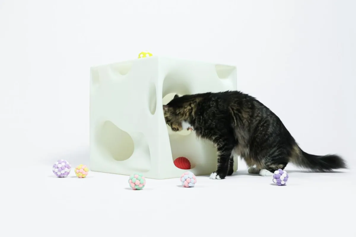 BIM建筑|假如业主是一只猫:猫立方系列 / 杜雷