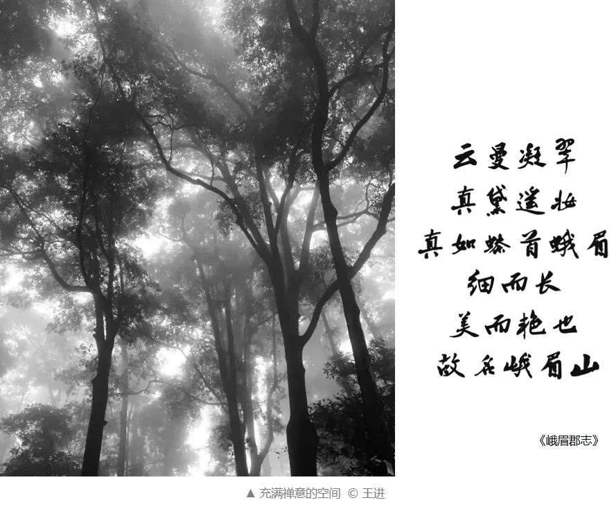 BIM建筑|会宗书院 / UA尤安设计